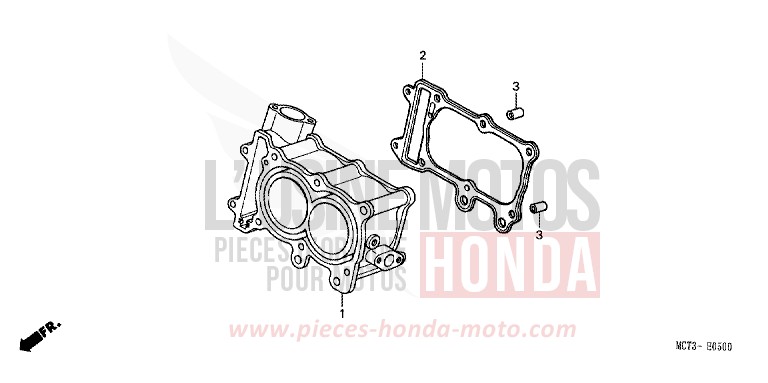 CYLINDRE de SILVER WING MAGNUM SILVER METALLIC (NH110) de 2003